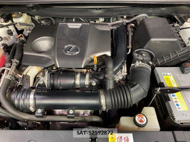 Lexus NX 2018-06 7358515-17