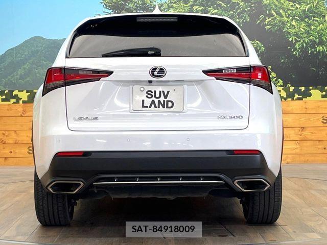 Lexus NX 2019-09 7390847-14