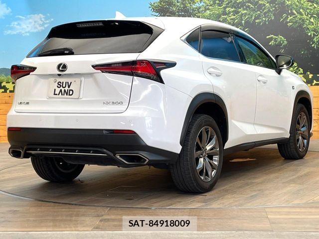 Lexus NX 2019-09 7390847-16