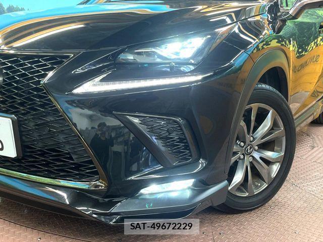 Lexus NX 2019-12 7455425-11