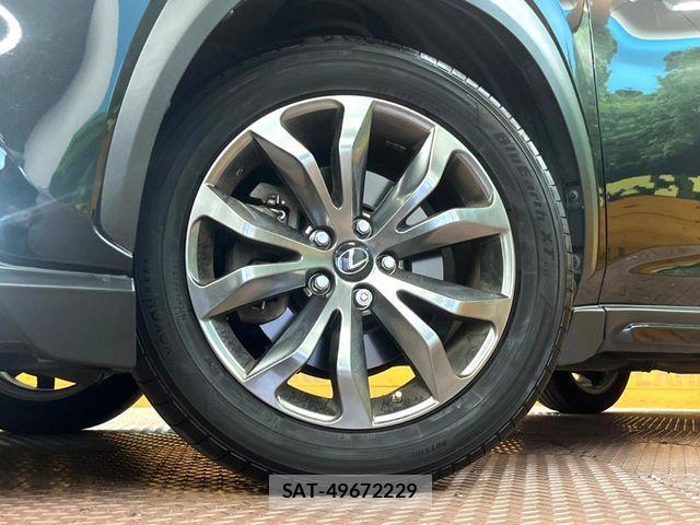 Lexus NX 2019-12 7455425-12