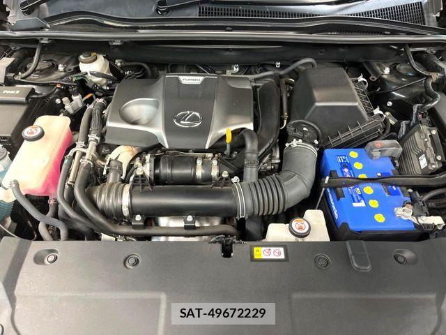 Lexus NX 2019-12 7455425-17