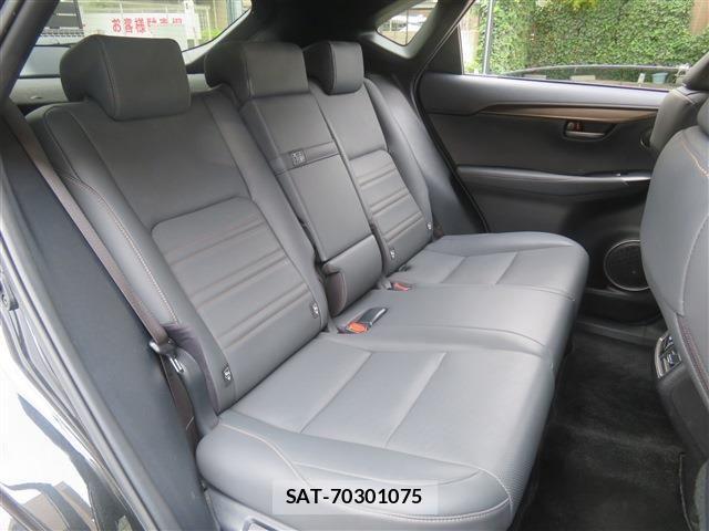 Lexus NX 2021-07 7501288-10