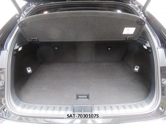 Lexus NX 2021-07 7501288-11