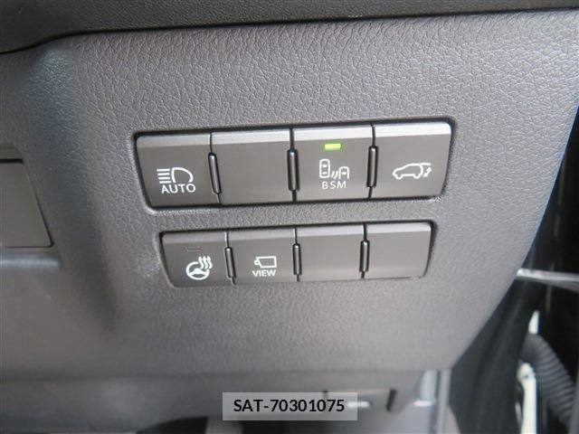 Lexus NX 2021-07 7501288-17
