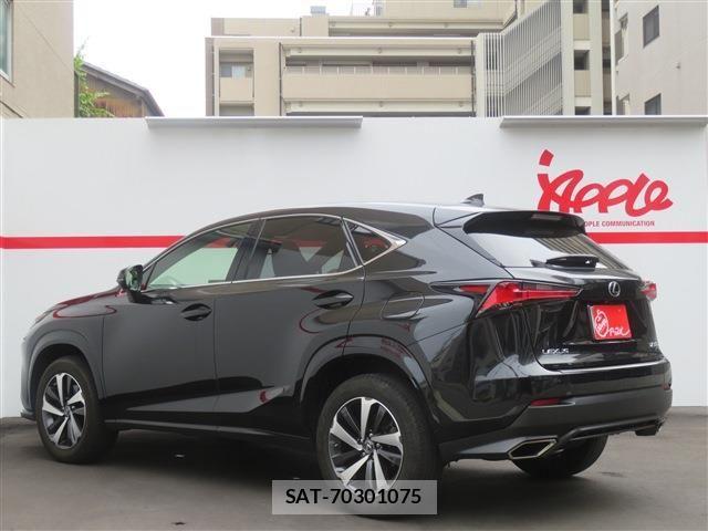 Lexus NX 2021-07 7501288-3