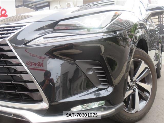 Lexus NX 2021-07 7501288-4