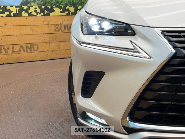 Lexus NX 2021-01 7501291-11