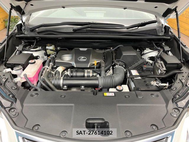 Lexus NX 2021-01 7501291-17