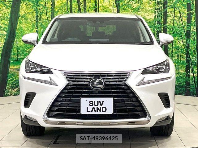 Lexus NX 2018-01 7562361-14
