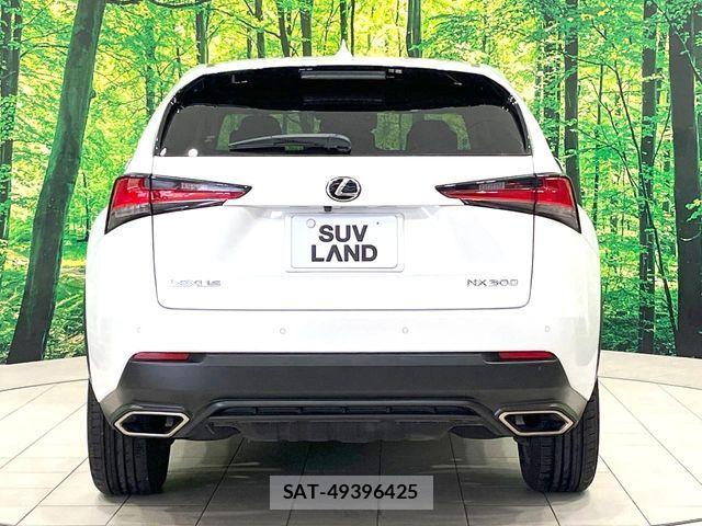 Lexus NX 2018-01 7562361-15