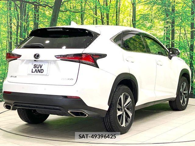Lexus NX 2018-01 7562361-17