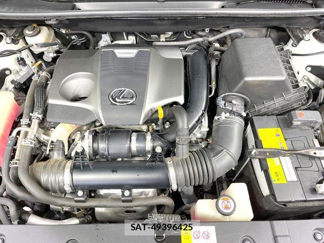 Lexus NX 2018-01 7562361-18