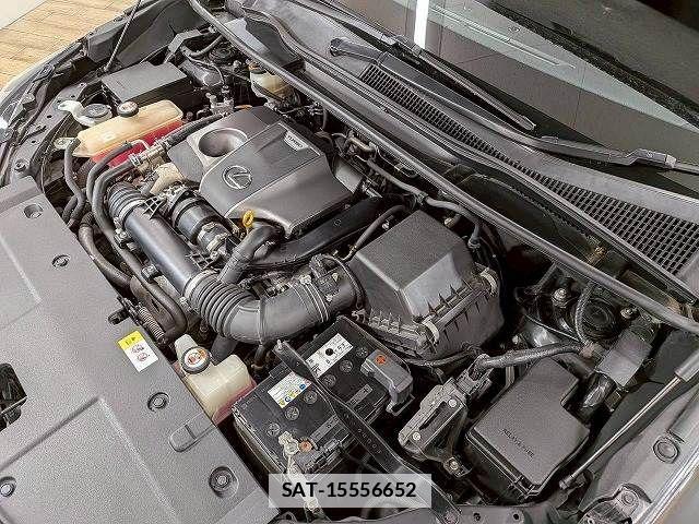 Lexus NX 2017-08 7725113-17