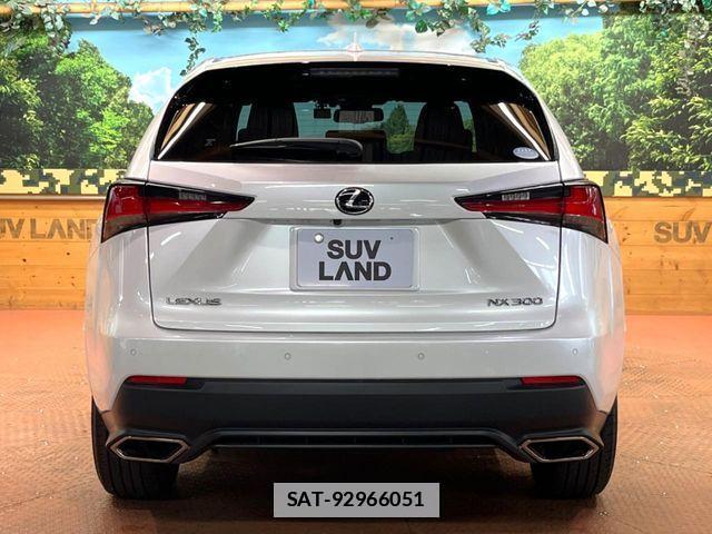 Lexus NX 2020-03 7725102-16