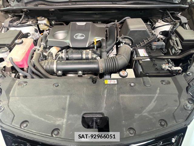 Lexus NX 2020-03 7725102-17