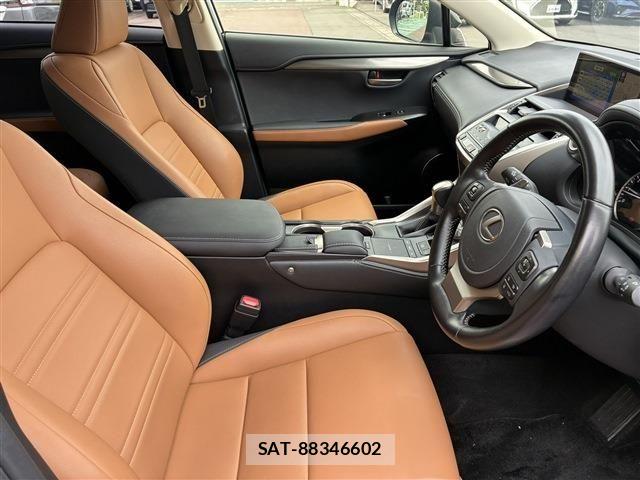 Lexus NX 2021-02 7725107-5