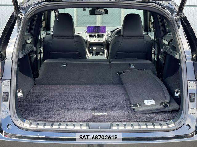 Lexus NX 2020-10 7725104-19