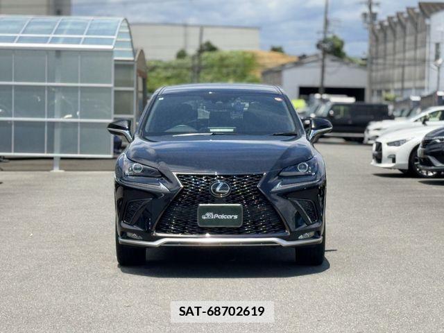 Lexus NX 2020-10 7725104-20