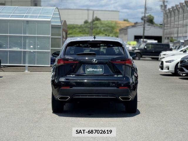 Lexus NX 2020-10 7725104-24