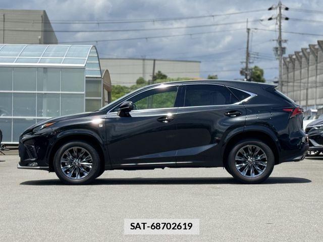Lexus NX 2020-10 7725104-26