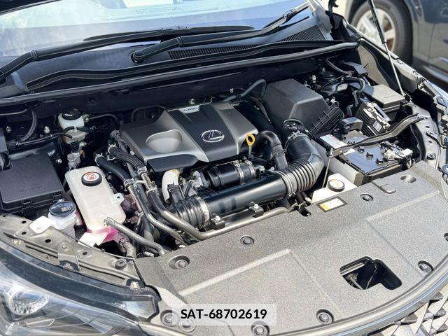 Lexus NX 2020-10 7725104-28