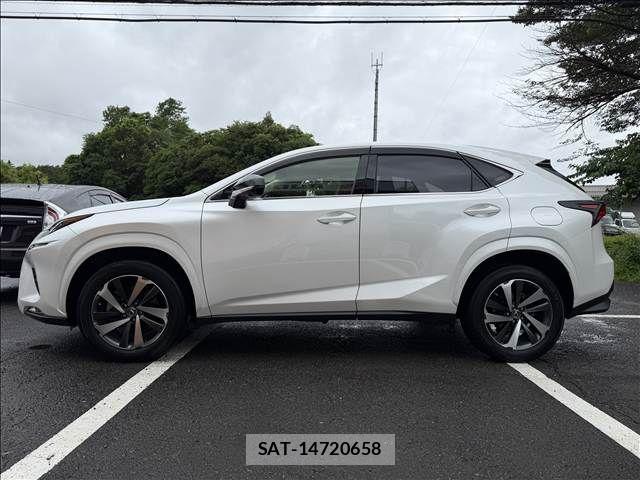 Lexus NX 2019-02 7725111-5