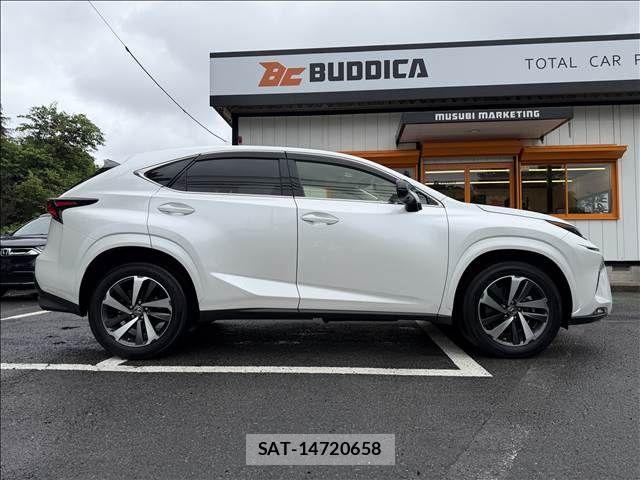 Lexus NX 2019-02 7725111-6