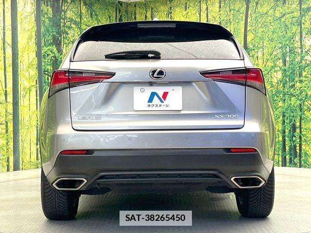 Lexus NX 2017-11 7725106-14