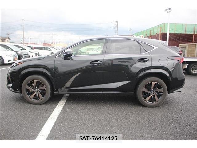 Lexus NX 2020-05 7725105-12