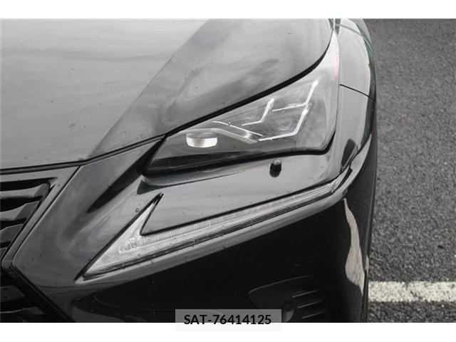 Lexus NX 2020-05 7725105-21