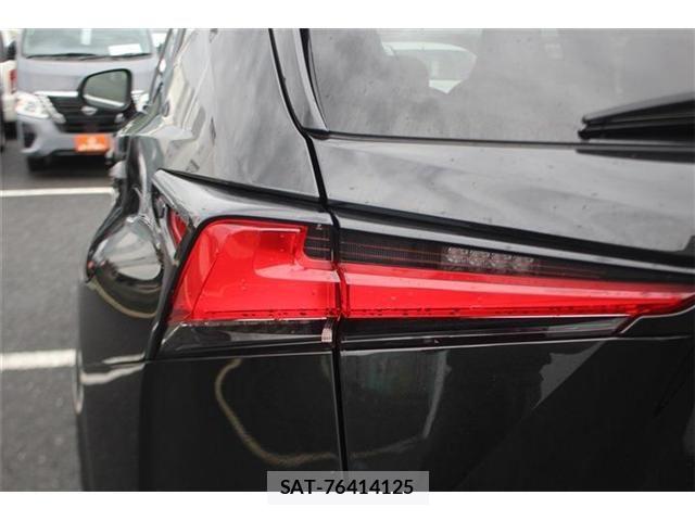Lexus NX 2020-05 7725105-28