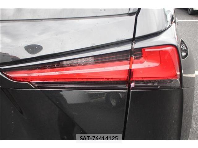 Lexus NX 2020-05 7725105-29