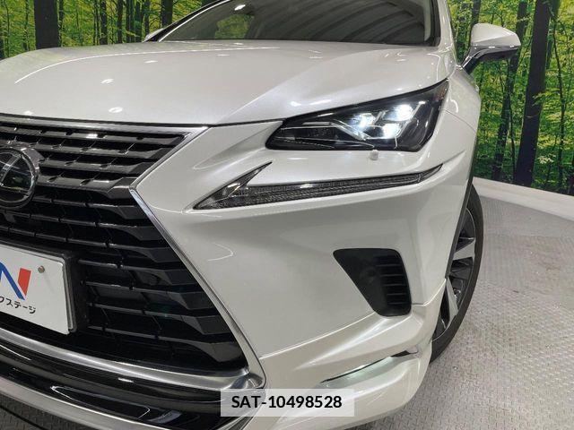 Lexus NX 2018-03 7725108-12