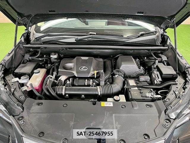 Lexus NX 2017-12 7786545-12
