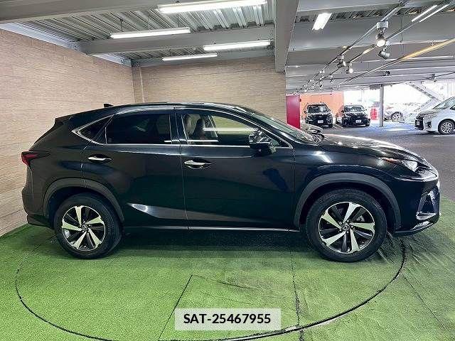 Lexus NX 2017-12 7786545-17