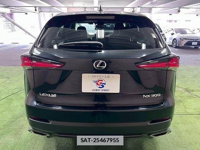 Lexus NX 2017-12 7786545-18