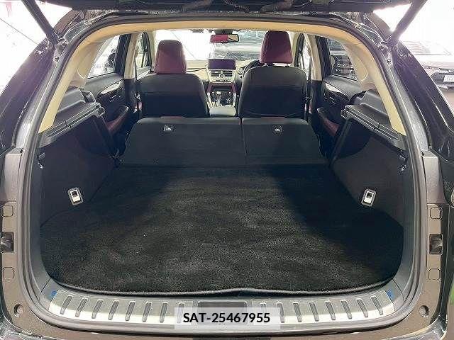 Lexus NX 2017-12 7786545-19