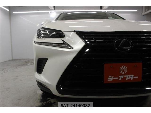 Lexus NX 2019-05 7877393-10