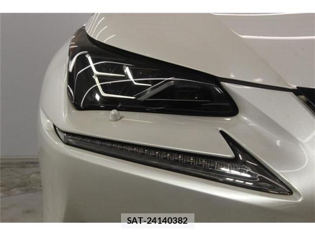 Lexus NX 2019-05 7877393-11