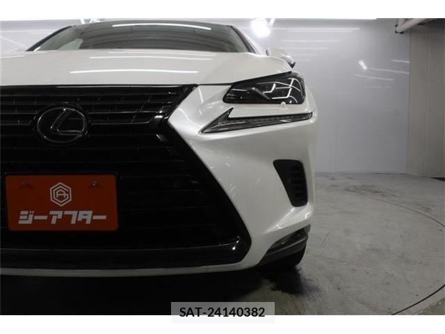 Lexus NX 2019-05 7877393-13