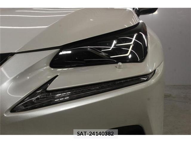 Lexus NX 2019-05 7877393-14