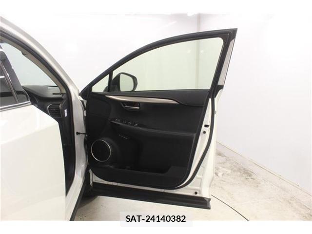 Lexus NX 2019-05 7877393-29