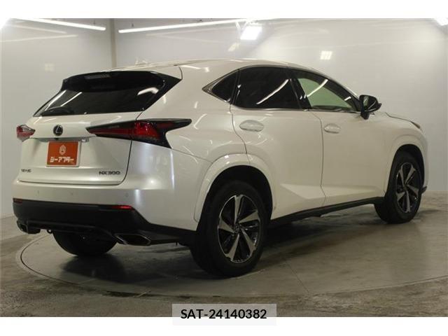 Lexus NX 2019-05 7877393-4