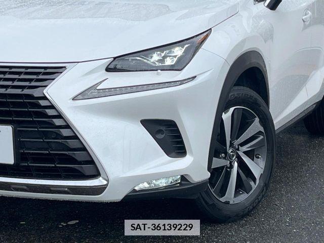 Lexus NX 2018-06 7877392-14