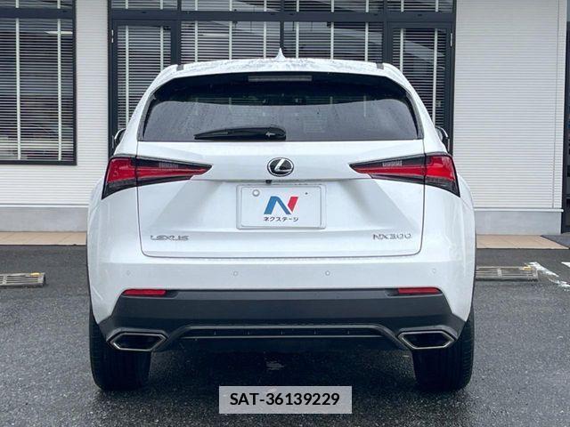 Lexus NX 2018-06 7877392-17