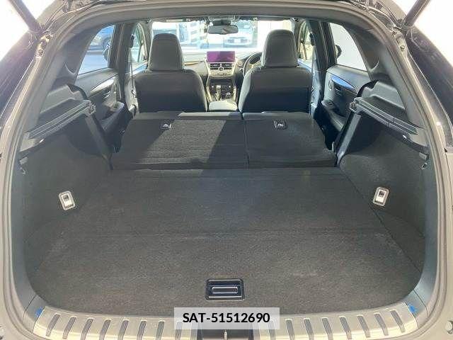 Lexus NX 2020-12 7962420-12