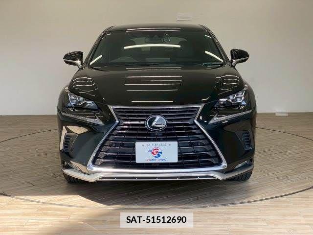 Lexus NX 2020-12 7962420-13