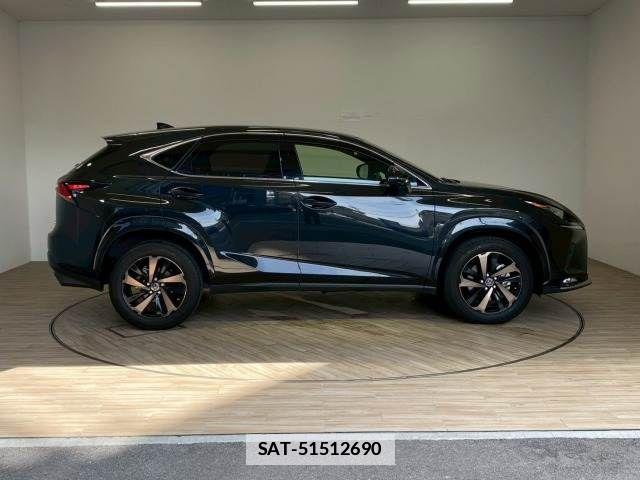 Lexus NX 2020-12 7962420-16
