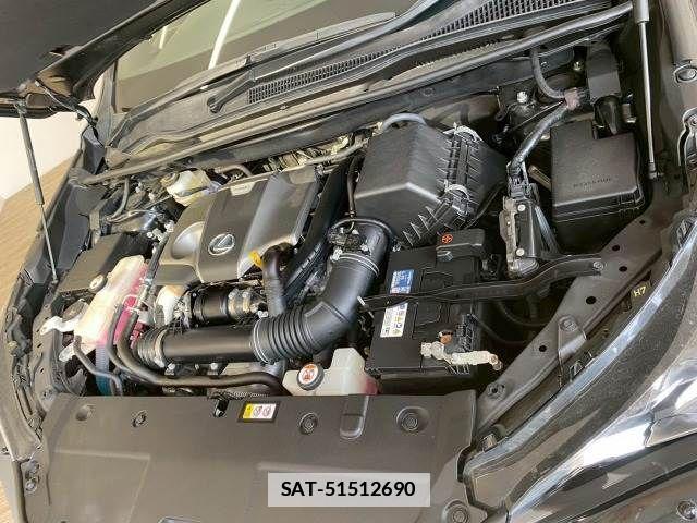 Lexus NX 2020-12 7962420-19